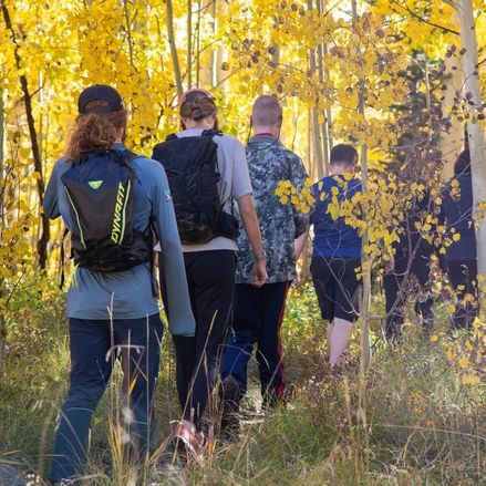 group hike through golden aspens