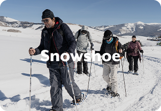 Snowshoe