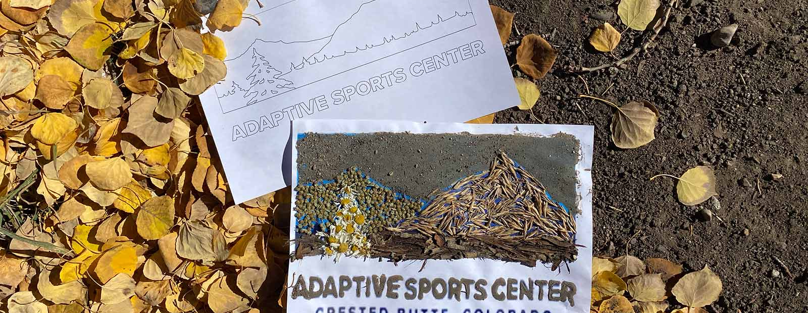 Nature Logo Challenge