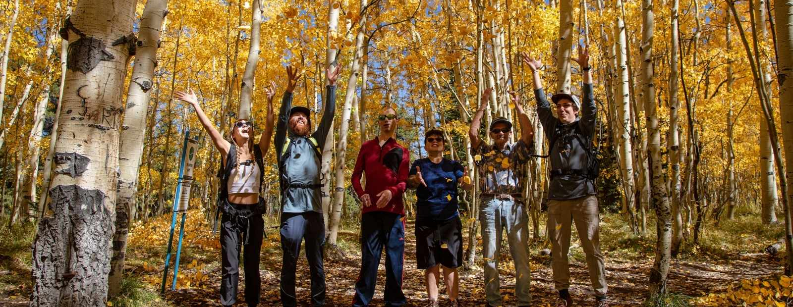 group hike tossing golden aspen leaves